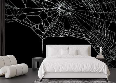 Real frost covered spider web isolated on black Wall mural