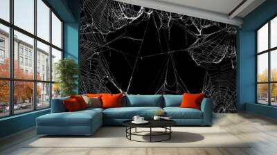 Real spooky spider webs hanging together to make a frame. Halloween background. Wall mural