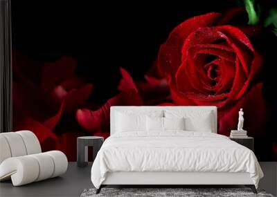 Red rose Wall mural