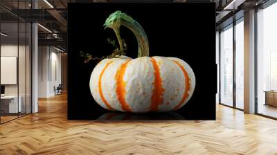 Single orange striped pumpkin isolated on black Wall mural