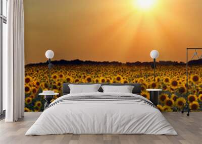 Sunflower Field Wall mural