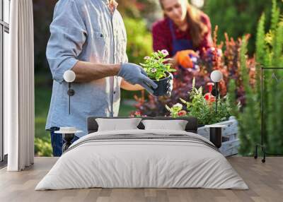 Guy gardener in garden gloves puts the pots with seedlings in the white wooden box on the table and a girl prunes plants in the wonderful nursery-garden on a sunny day. Wall mural