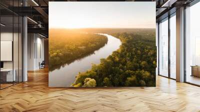 generative ai green beautiful amazonian jungle landscape with trees and river drone view Wall mural