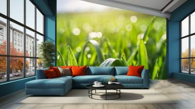 spring or summer green grass field with sunny bokeh background Wall mural