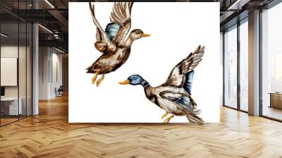 Watercolor hand drawn duck bird . Watercolor illustration of wild animal. Perfect for wedding invitation, greetings card, posters. Wall mural