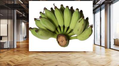 Green cultivated banana on white background. Wall mural