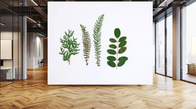 green  plants isolated on white background, different dry leaves Wall mural