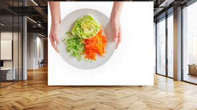 plate in hands with chopped vegetables and herbs isolate on white background healthy eating concept, top view Wall mural