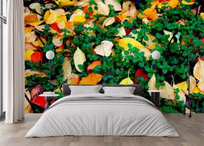 yellow green time Wall mural