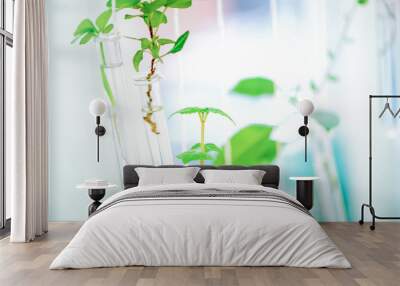 Sprouts of green plants in laboratory flasks in a bright interior. Wall mural