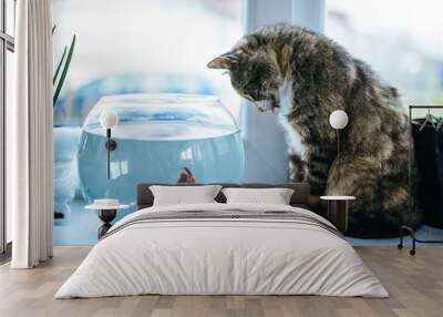 Cat looking at a fish in an aquarium on the window. Cat with tongue outside. Cat watching the fish. Cat want to catch fish. Vintage, Rustic style. Wall mural