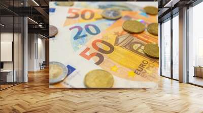 Euro banknotes and coins
 Wall mural