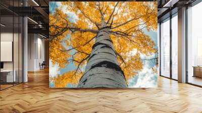 A towering Aspen tree proudly displays its vibrant golden foliage against a clear sky Wall mural