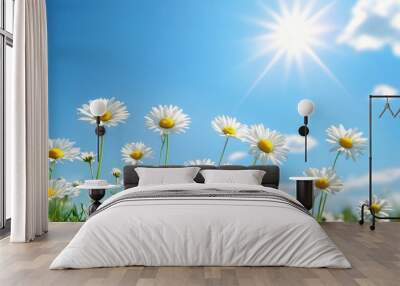 Bright daisies bloom vibrantly in the warm sunlight creating a joyful summer landscape Wall mural