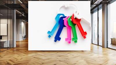 toy keys, multi-colored keys, house keys Wall mural