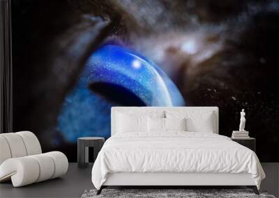 cat's blue eye. look up. the reflection of the stars Wall mural