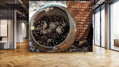 clay pot with cones in nature in autumn. Wall mural