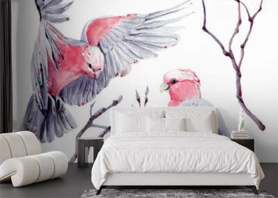 australian bird watercolor illustration. Wall mural