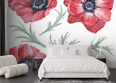 Handpainted watercolor red anemone flowers set in vintage style Wall mural