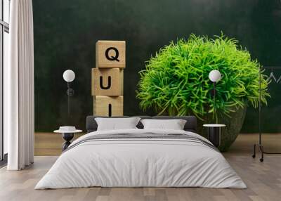 QUIZ word on wood cube block with green grass Wall mural