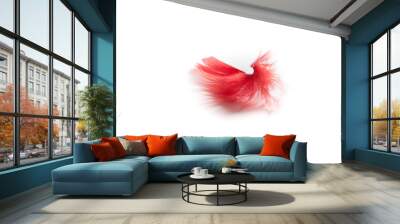 red  feather Wall mural