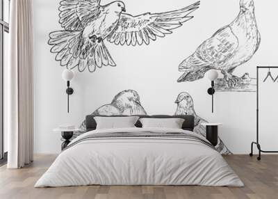 Set of hand drawn doves. Sketch of doves Wall mural