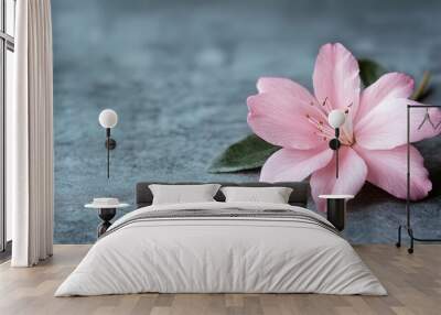 Pink Flower on Gray Background Wall mural