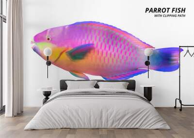 Parrot fish isolated on white background. Parrotfish with cut out. ( Clipping path ) Wall mural