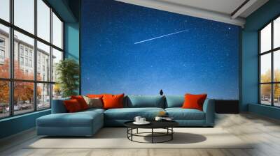 Silhouette of girl standing on mountain and night sky with shooting star. Alone concept. Wall mural