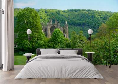 Tintern  Wall mural