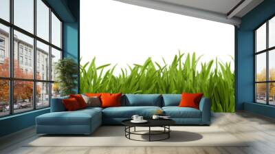 Wide image of a fresh spring grass Wall mural