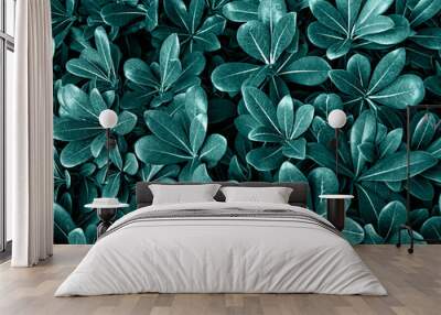 Floral background in trendy color Tidewater Green. Natural tropical pattern, copy space, tropical plant close-up. wallpaper Wall mural