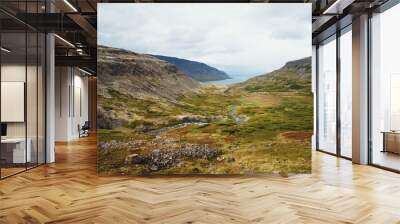 Scenic view of cliffs of Iceland against mountains and the North Atlantic Ocean beautiful landscape nature selective focus Wall mural