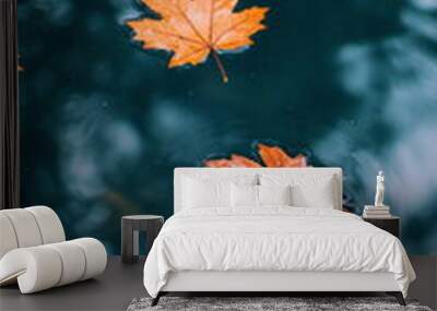 Meditative autumn scene with some leaves floating on reflective water, capturing a moment of natural stillness. Wall mural