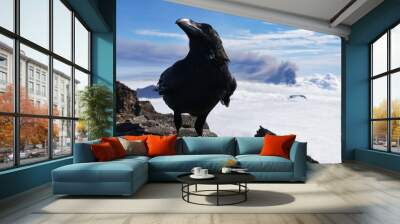 Crow of La Palma during volcano eruption Wall mural