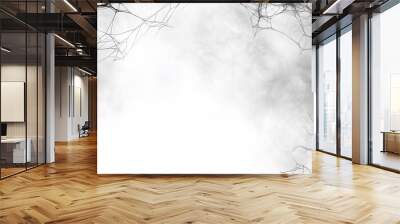 Scary spider webs are framing a foggy background in this halloween themed banner Wall mural