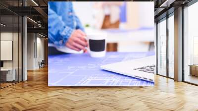 Two young woman standing near desk with instruments, plan and laptop. Wall mural