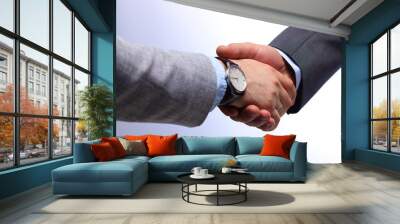 Business handshake. Two businessman shaking hands with each other in the office Wall mural