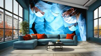 Team surgeon at work in operating room Wall mural