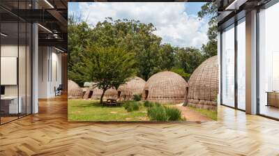 Traditional beehive huts in Swaziland Wall mural