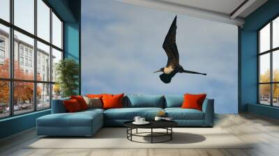 Scenic view of a Frigatebird flying in the sky Wall mural