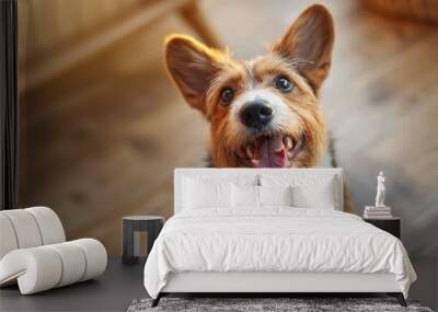 A close-up shot of an alert brown and white dog with large ears looking up towards the camera with a soft background Wall mural