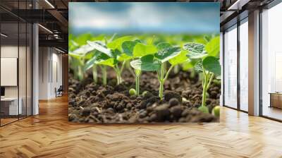 Image captures the early stages of soybean growth with emerging seedlings and detailed soil texture Wall mural