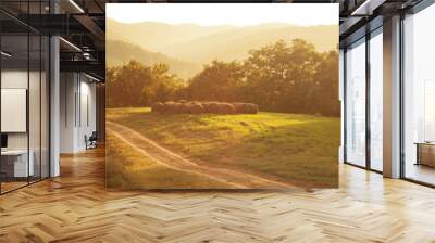 Group of harvested hay bales in grass field near dirt path in the mountains at golden hour  Wall mural