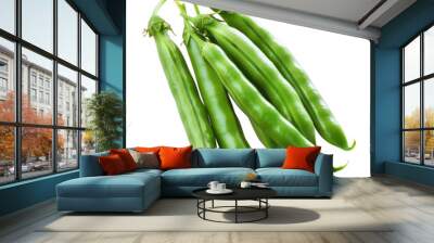 Photo of green bean isolated on transparent background Wall mural