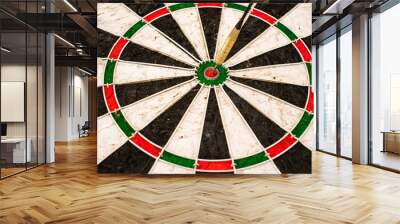 close up of a Dart Board.bullseye Wall mural