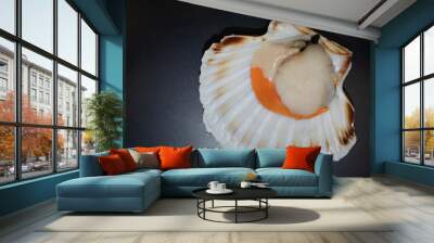 raw scallops in a opened shell Wall mural