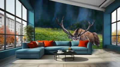 Sleeping Deer Wall mural