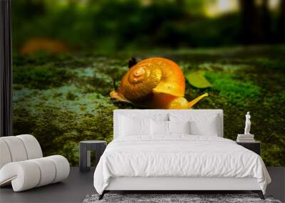  garden snail Wall mural