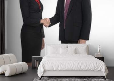 Business man and woman shake hand Wall mural